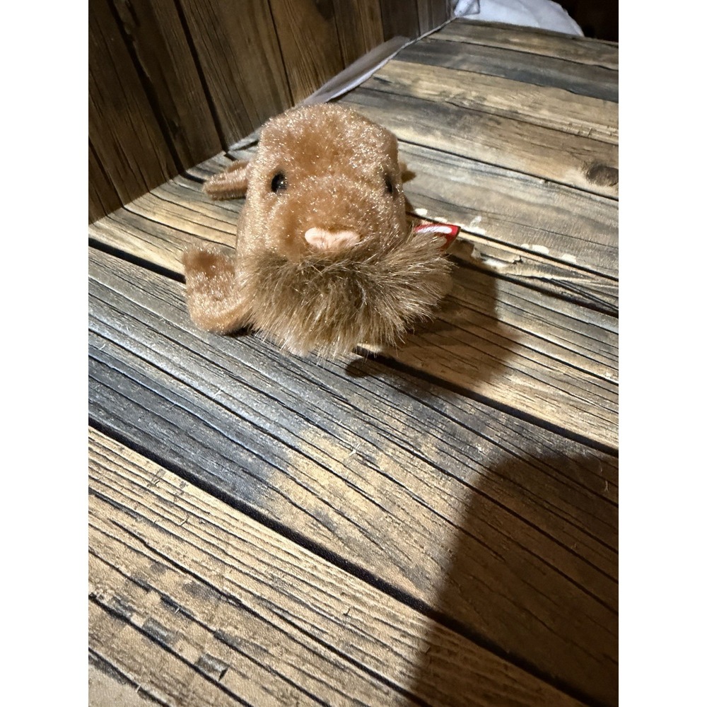Ty Beanie Baby - ''Paul'' the Walrus 1999 - Mint Condition with Tags